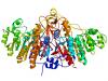 Photo for Phosphatase Screening