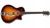 Photo for World Electric Guitar Market Comprehensive Analysis, Applications, Outlook and Forecast to For Upcoming Years