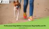Photo for petsfolio