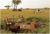 Photo for African Travel Agents