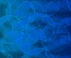 Photo for Asia-Pacific is expected to fuel the growth of Gas Chromatography Market – A new report from Data Bridge Market Research