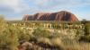 Photo for The Hidden Pulchritude Near Uluru