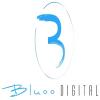 Photo for Bluoo Digital