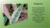 Photo for Bioplastic Market Growth Analysis and Future Demand with Forecast up to 2024