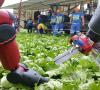 Photo for Significant insights of Agricultural Robots Market 2022 - Analysis & Forecast to 2022 (12.80 Billion USD Market)