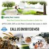 Photo for Efficient Termite treatment Gurgaon, dial +91-9811381458