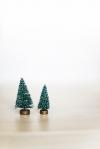 Photo for Preparing for Christmas: Ideas for Family Caregivers