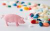 Photo for Global Animal Antibiotics and Antimicrobials Marketby Top Manufacturers Sinopec Corporation, Zoetis, Boehringer Ingelheim International GmbH, Eli Lilly and Company, Merck Sharp & Dohme Corp, Bayer AG, Sanofi, Ceva, Virbac group, Vetoquinol S.A, Dechra Pha