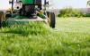 Photo for Proven Tips for Create a Perfect Organic Garden through Ottawa lawn care companies | Murraylandscaping