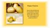 Photo for Potato Protein Market Growth, Trends and industry Analysis 2024