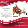 Photo for Vector Format Image