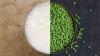 Photo for Pea Milk Market Analysis - Trends And Forecast 2017-2025