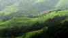Photo for Benefits of Choosing One-Day Tour Packages