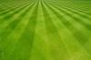 Photo for JNJ Lawn Service