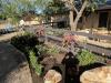Photo for JW's Landscape and Weed Whacking Services