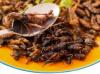Photo for Global Edible Insects Market Growth - Trends and Forecast 2017-2025