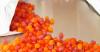 Photo for Gummy Vitamins Market Analysis, Growth - Trends and Forecast 2017 - 2025