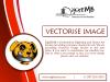 Photo for Vectorise Image