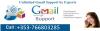 Photo for Gmail Customer Support Number +353-766803285