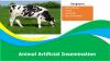 Photo for Animal Artificial Insemination Market by Regional Analysis, Key Players and Forecast 2024