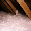 Photo for The Attic Insulation Houston Pro's
