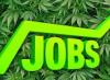 Photo for Apply Cannabis Jobs in Las Vegas at cannabizteam.com