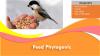 Photo for Feed Phytogenic Market Present Scenario and the Growth Prospects with Forecast 2024