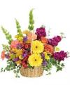 Photo for The Best Florist in Oshawa-DREAM BLOOM