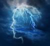 Photo for http://www.supplements4lifetime.com/where-to-buy-brain-plus/