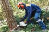 Photo for Anderson Tree Service