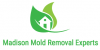 Photo for Madison Mold Removal Experts