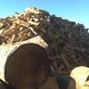 Photo for Black Forest Firewood