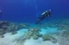 Photo for Scuba Diving Equipment Market 2018|Know the Market Driving Factors