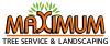 Photo for Maximum Tree Service of New London