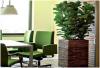 Photo for Plant Hire Sydney