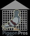 Photo for Pigeonpros