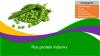 Photo for Pea Protein Market Growth Rate, Developing Trends, Manufacturers, Countries, Type and Application, Global Forecast To 2024