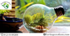 Photo for Medicinal Tablets and Capsules in Malaysia