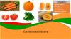 Photo for Carotenoids Market Outlook 2018 Globally, Geographical Segmentation, Industry Size & Share, Comprehensive Analysis to 2024