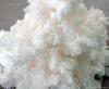 Photo for Global Refined Cotton Market Forecast 2018-2023