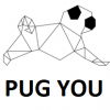 Photo for Pug You