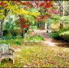 Photo for Elaine Lopis