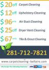 Photo for Carpet Cleaning Bellaire