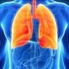Photo for Global Pulmonary Drug Delivery Systems Market 2018 : Taian Character, Omron Healthcare, Boehringer Ingelheim and AstraZeneca