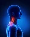 Photo for Global Head And Neck Cancer Market 2017-2027: Consumption Growth Rate, Market Drivers and Opportunities