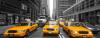 Photo for Silver Taxi Services in Melbourne