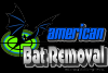 Photo for American Bat Removal