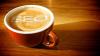 Photo for Cuppa SEO