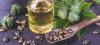 Photo for Castor Oil Market Size, Trends, Outlook and Demand 2025