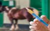 Photo for Equine Healthcare Market, By Diagnostic Products, Therapeutic Products, and Supplements - Global Industry Insights, Trends, Outlook, and Opportunity Analysis, 2018–2026